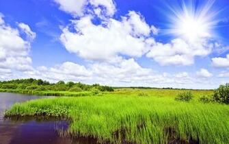 Green Grass Field On Lake Full Wallpaper HD