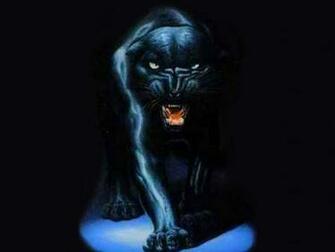 Pantera Negra Wallpaper
