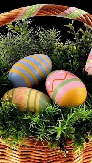 Easter Eggs Ideas iPhone HD
