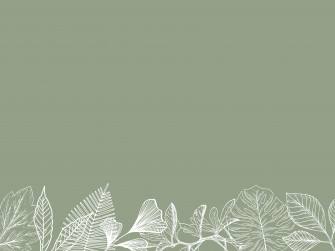 Sage Green Wallpaper With White Leaves