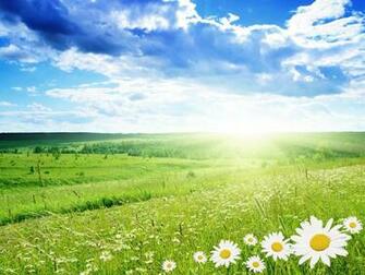 Beautiful Green Spring Wallpaper Desktop Background Scenery