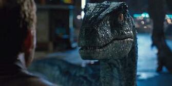 Jurassic World Blue By Jd1680a