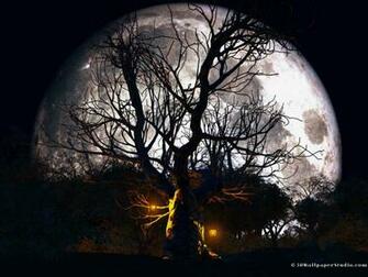 Halloween Forest Wallpaper In Screen Resolution