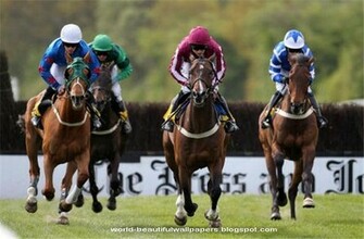 Beautiful Wallpaper Racing Horse