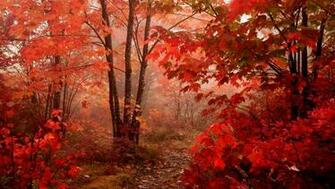 Wallpaper De Paisajes HD Excelentes