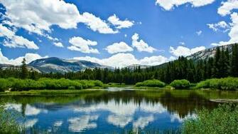 Nature Wallpaper Landscapes Trees Forest Alaska
