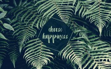 Tropical Laptop Wallpaper On