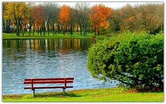 Wallpaperhi Nature Lakes Bench