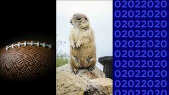 Feb Is Palindrome Day Super Bowl Sunday Groundhog