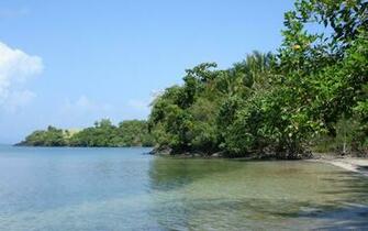 Tropical Island Nature Widescreen Desktop Background