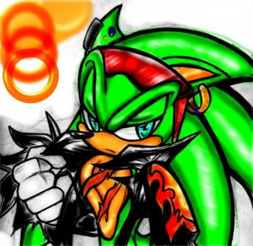 Scourge The Hedgehog Fan Art