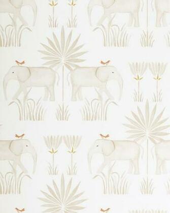 Kalahari Wallpaper In With Image Lily