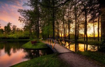 Wallpaper Trees Landscape Sunset Nature Pond Track