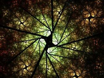 Fractal Wallpaper