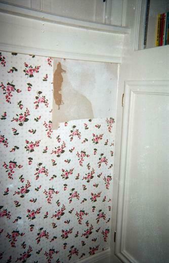 The Wallpaper Lady Houston Tx Repair