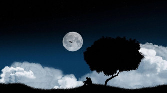 Feeling Alone By Tree And Moon Bgmewbkhvn5o6nyc Wallpaper