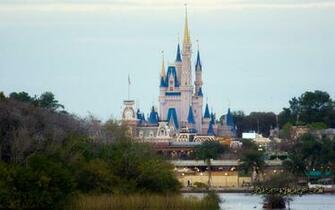 Disney World iPhone Wallpaper Roller Coaster