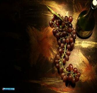 Cute Background And Wallpaper Wine Grapes HD