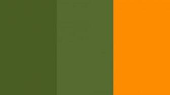 Dark Moss Green Olive And Orange Three