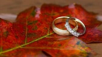 Wedding Rings Wallpaper