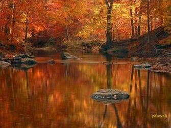 Youwall Autumn Wallpaper Wallpaperwallpaper