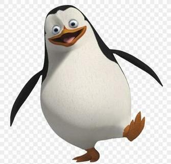 Penguin Madagascar Wallpaper Png Skipper Beak Bird