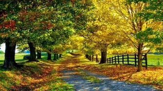 Season Beauty Wallpaper Winter Autumn Summer Spring Gif Flower