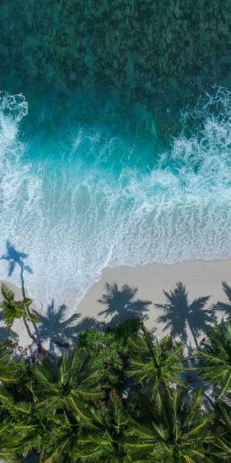 Beautiful Beach Aerial Palm Trees Sea Wallpaper