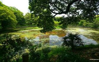 Japanese Garden Wallpaper No Desktop Wallcoo