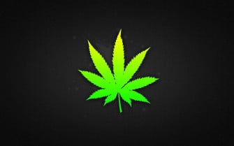 Fondo De Pantalla Las Mejores Hojas Marihuana Wallpaper