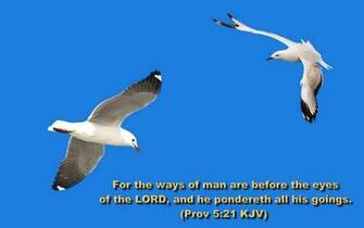 Bible Verse Greetings Card Wallpaper Encouraging Verses