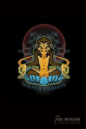 Higher Primate Zen Monkey iPhone Wallpaper