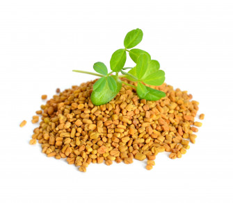 Fenugreek Wallpaper
