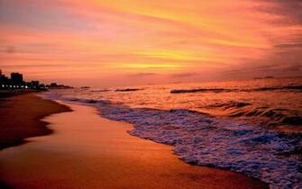 Wallsheets Beach Miami Wallpaper Desktop And Background