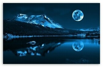 Moonlight Night Wallpaper