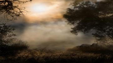 Fog HD Wallpaper Background Image
