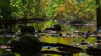 Ringwood State Park New Jersey 4k Wallpaper
