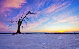 Bright Sunset HD Desktop Wallpaper