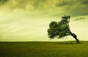 Best Nature Wide Screen Full HD Wallpaper