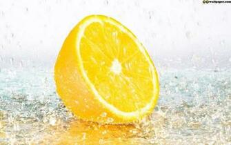 Wallpaper Lemon Tree