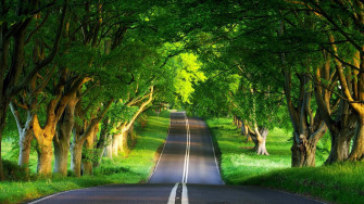 Road Summer Wallpaper