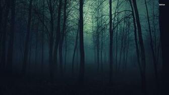 Blue Forest Wallpaper Pictures
