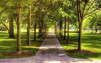 Park Wallpaper