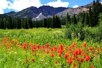 Mountain Meadow Wallpaper HD Desktopinhq