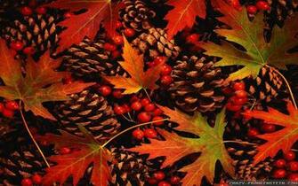 Fall Leaves Widescreen Background Wallpaper