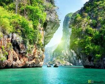 New HD Natural Scenes Beautiful Wallpaper