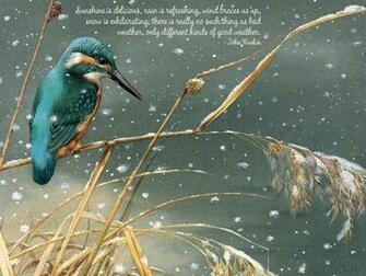 Moon Book Illustrations Illustrators Art Children