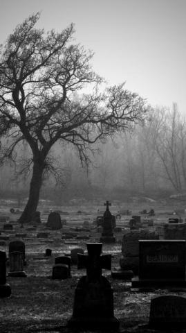Cemetery Live Wallpaper For Android Apk
