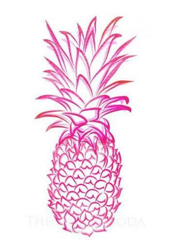 Pink Pineapple Giclee By Thepinkpagoda On