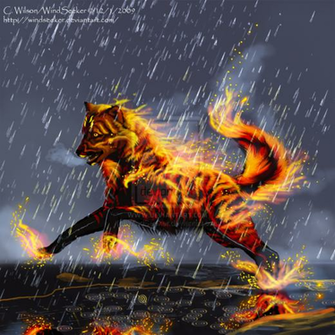 Go Back Image For Winged Fire Wolf Wallpaper